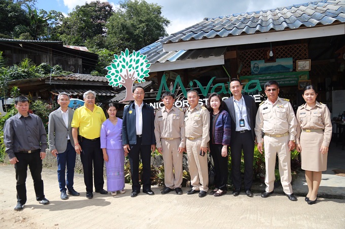 อัลบั้มภาพ