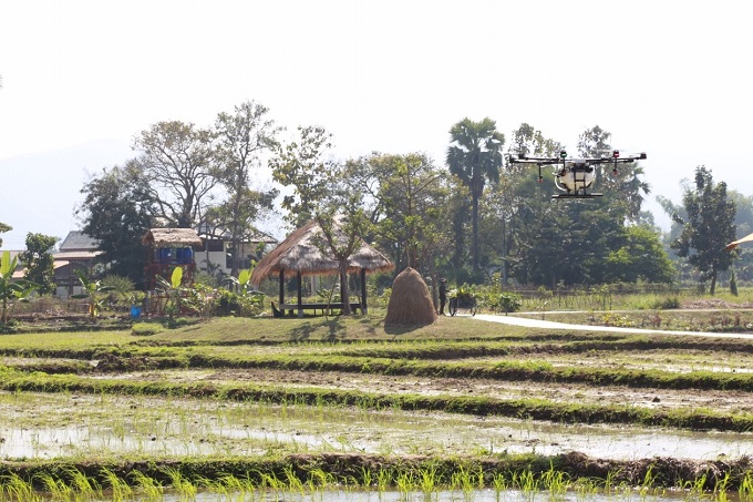 อัลบั้มภาพ