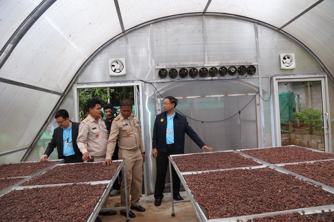 อัลบั้มภาพ