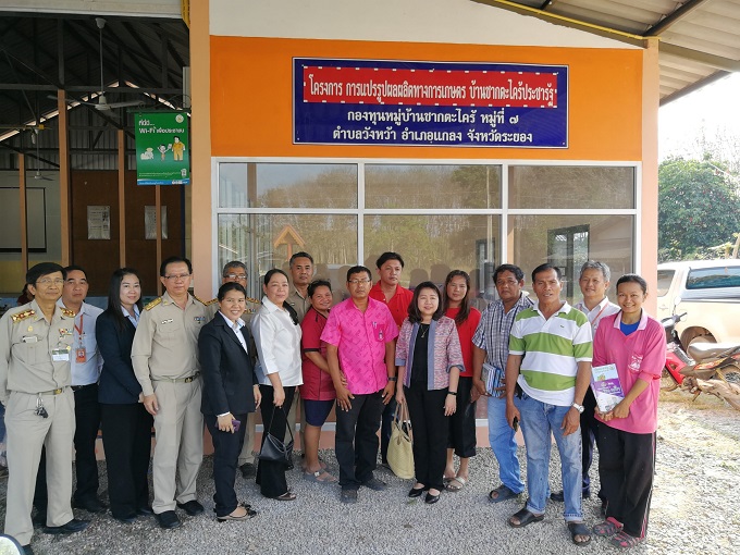 อัลบั้มภาพ