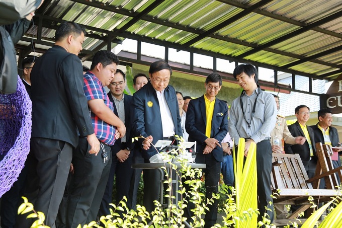 อัลบั้มภาพ