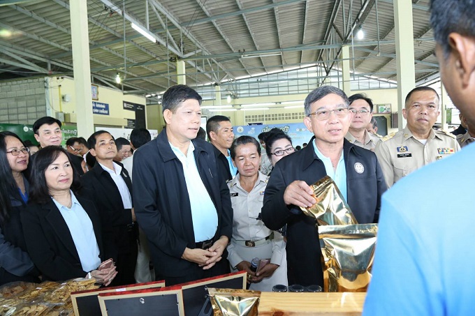 อัลบั้มภาพ