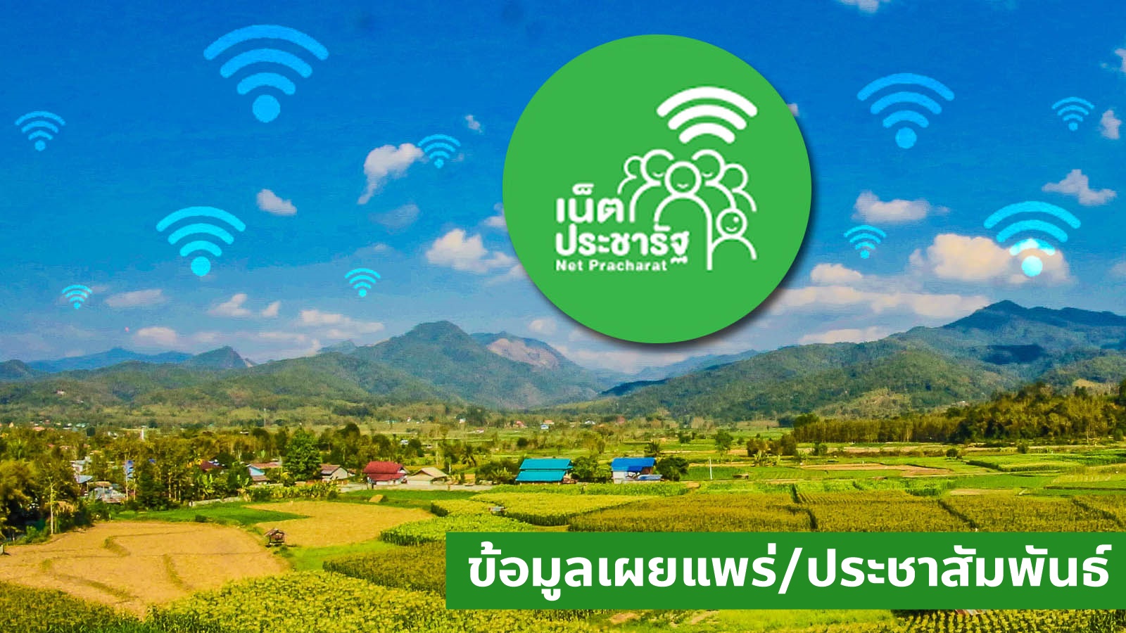 Website netpracharat