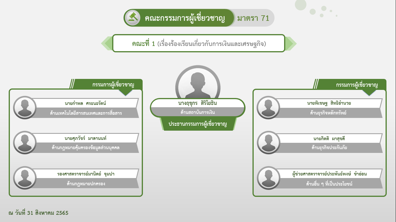 โครงสร้างคณะกรรมการผู้เชี่ยวชาญ คณะที่ 1
